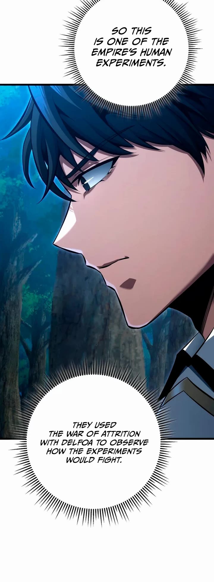 A Dragonslayer's Peerless Regression chapter 69 page 28