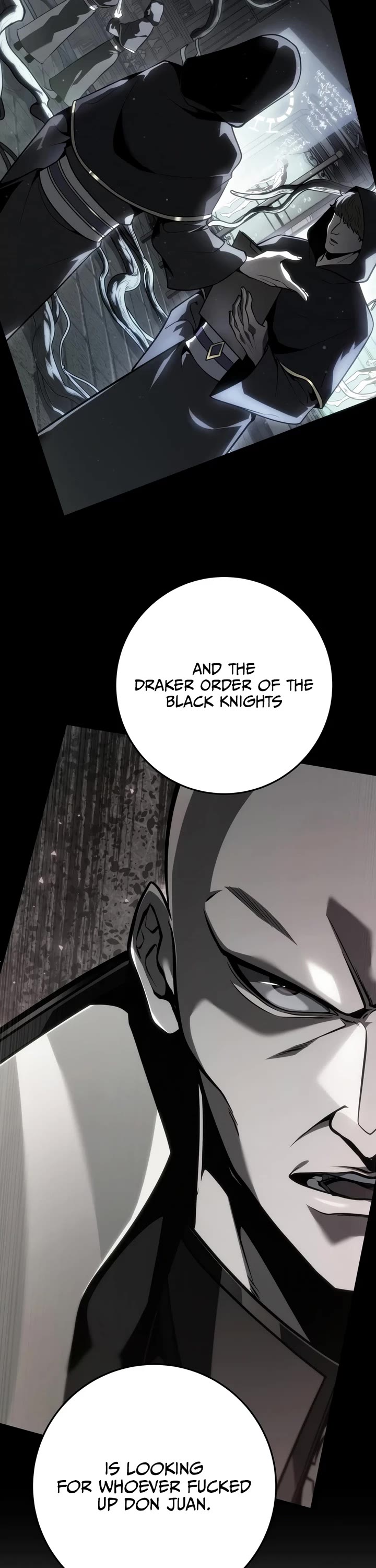 A Dragonslayer's Peerless Regression chapter 91 page 33