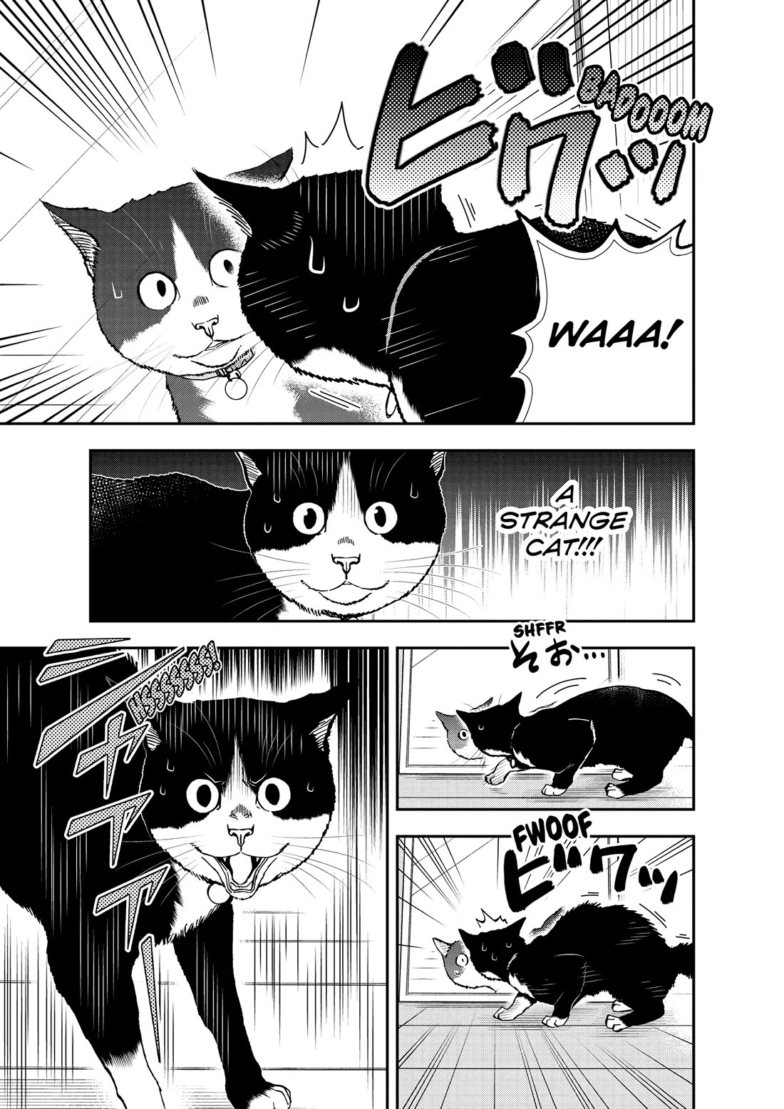 A Gamer Living with a Cat chapter 55 page 7