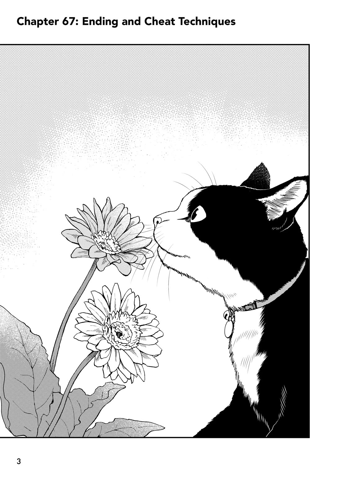 A Gamer Living with a Cat chapter 67 page 3