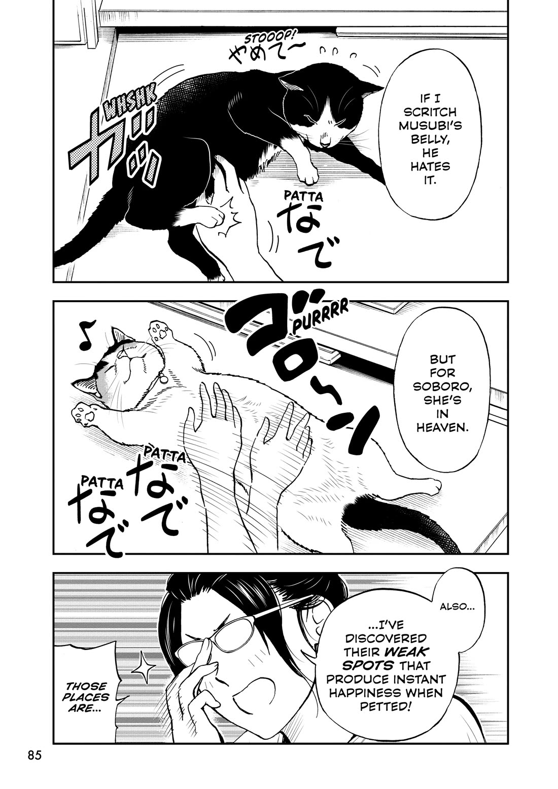 A Gamer Living with a Cat chapter 72 page 9