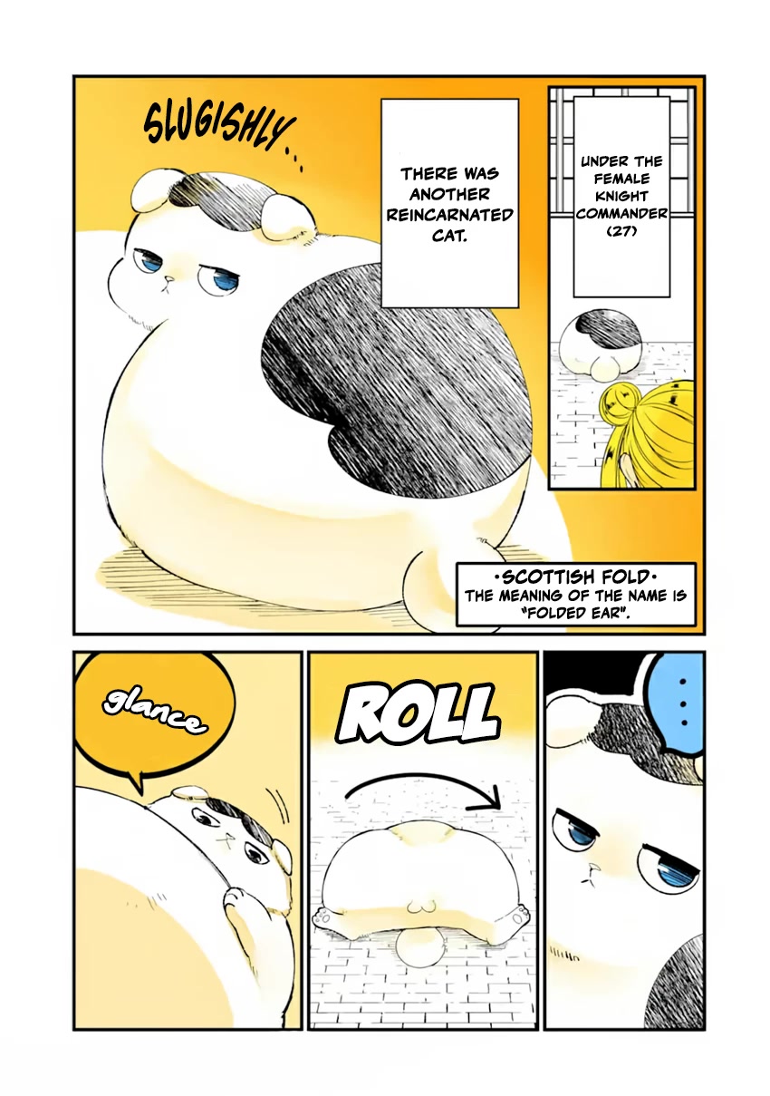 A Story about a Cat Reincarnated in a Different World Where There are no Cats. chapter 14 page 3