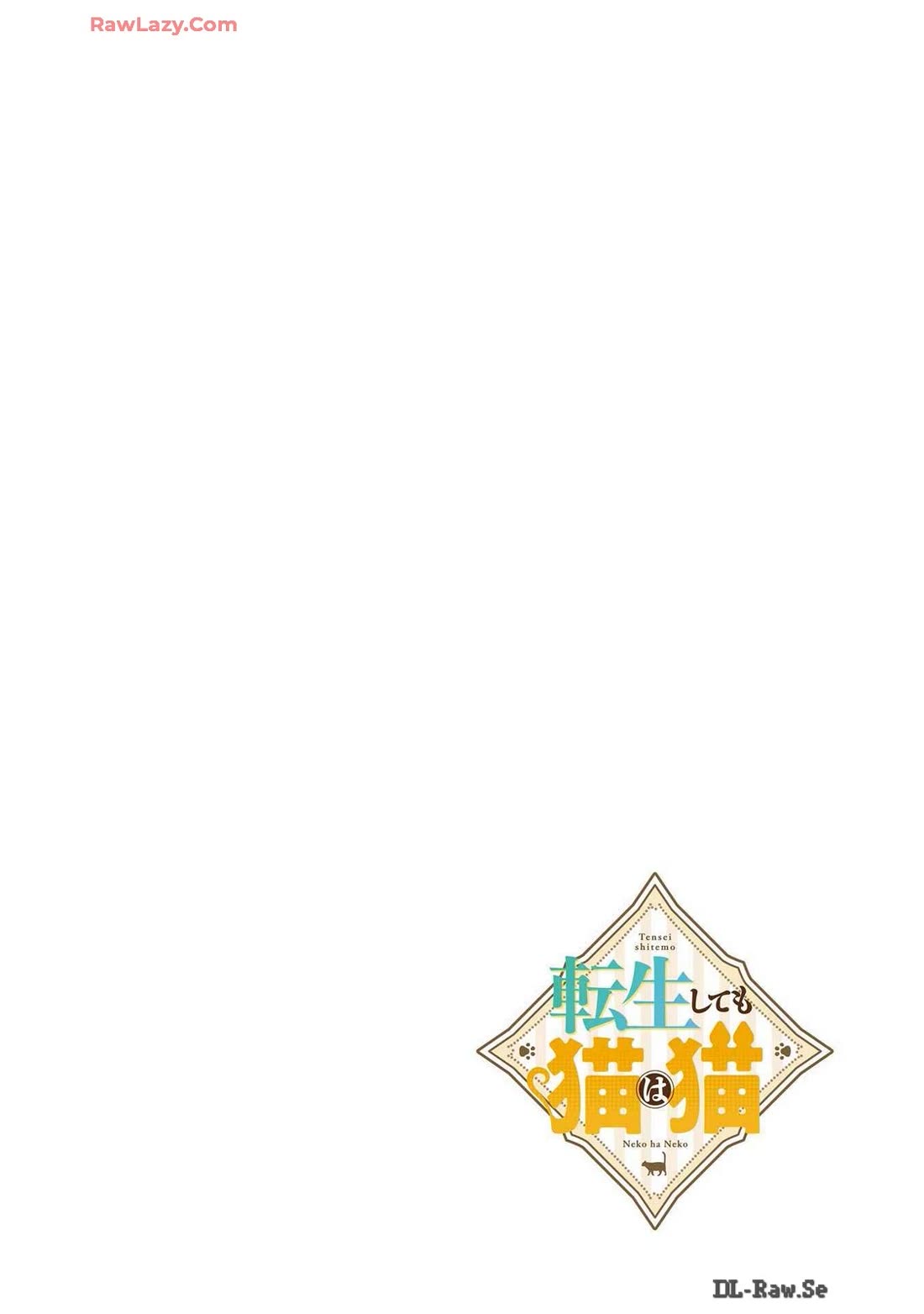 A Story about a Cat Reincarnated in a Different World Where There are no Cats. chapter 42 page 10