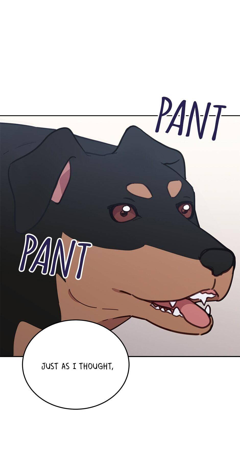 An Animal Hospital In The Border Area chapter 33 page 1