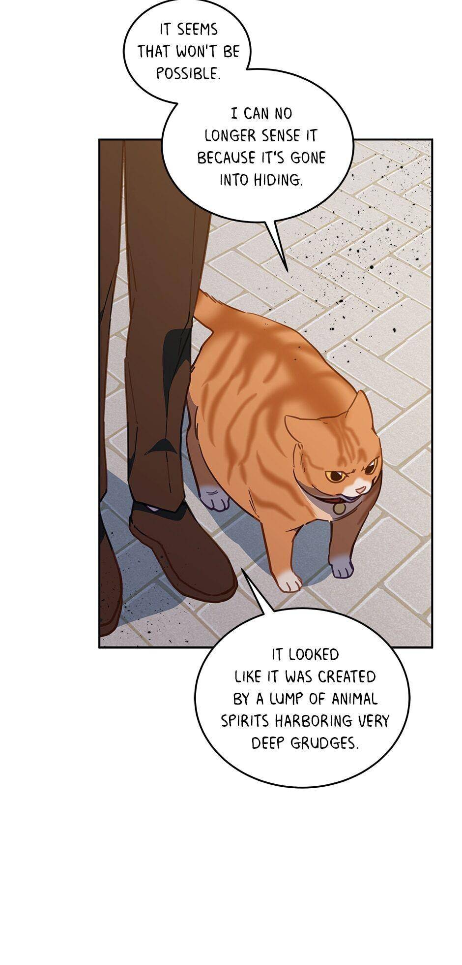 An Animal Hospital In The Border Area chapter 33 page 47