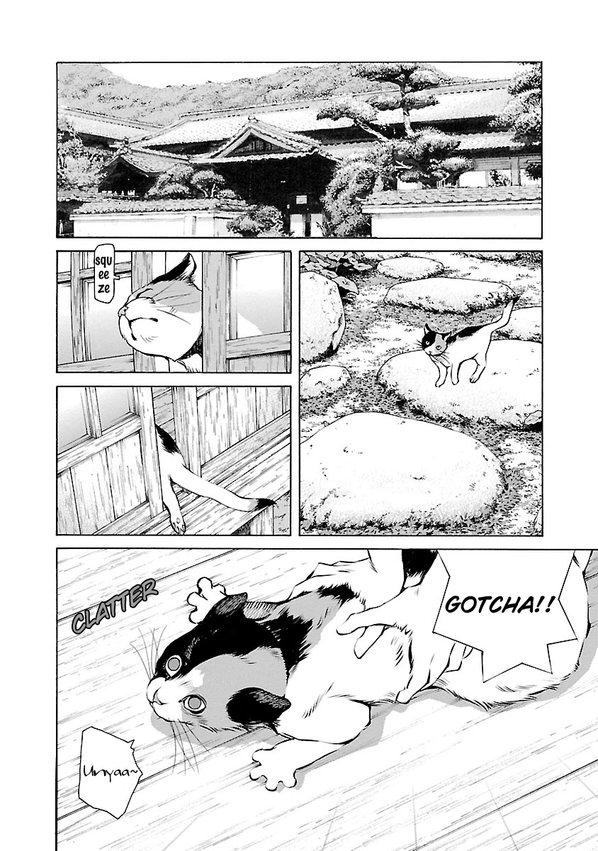 Ao no Shima to Neko Ippiki chapter 14.5 page 11