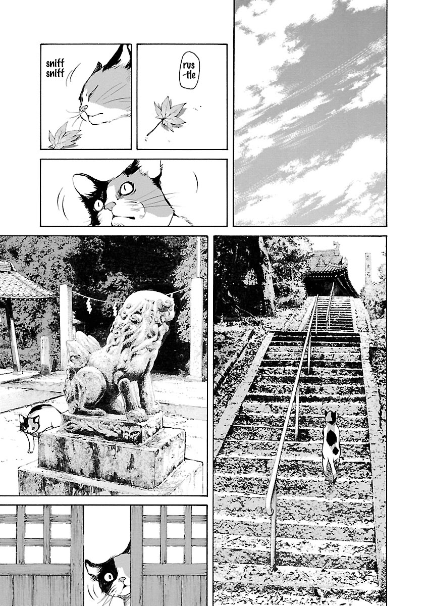 Ao no Shima to Neko Ippiki chapter 14.5 page 4