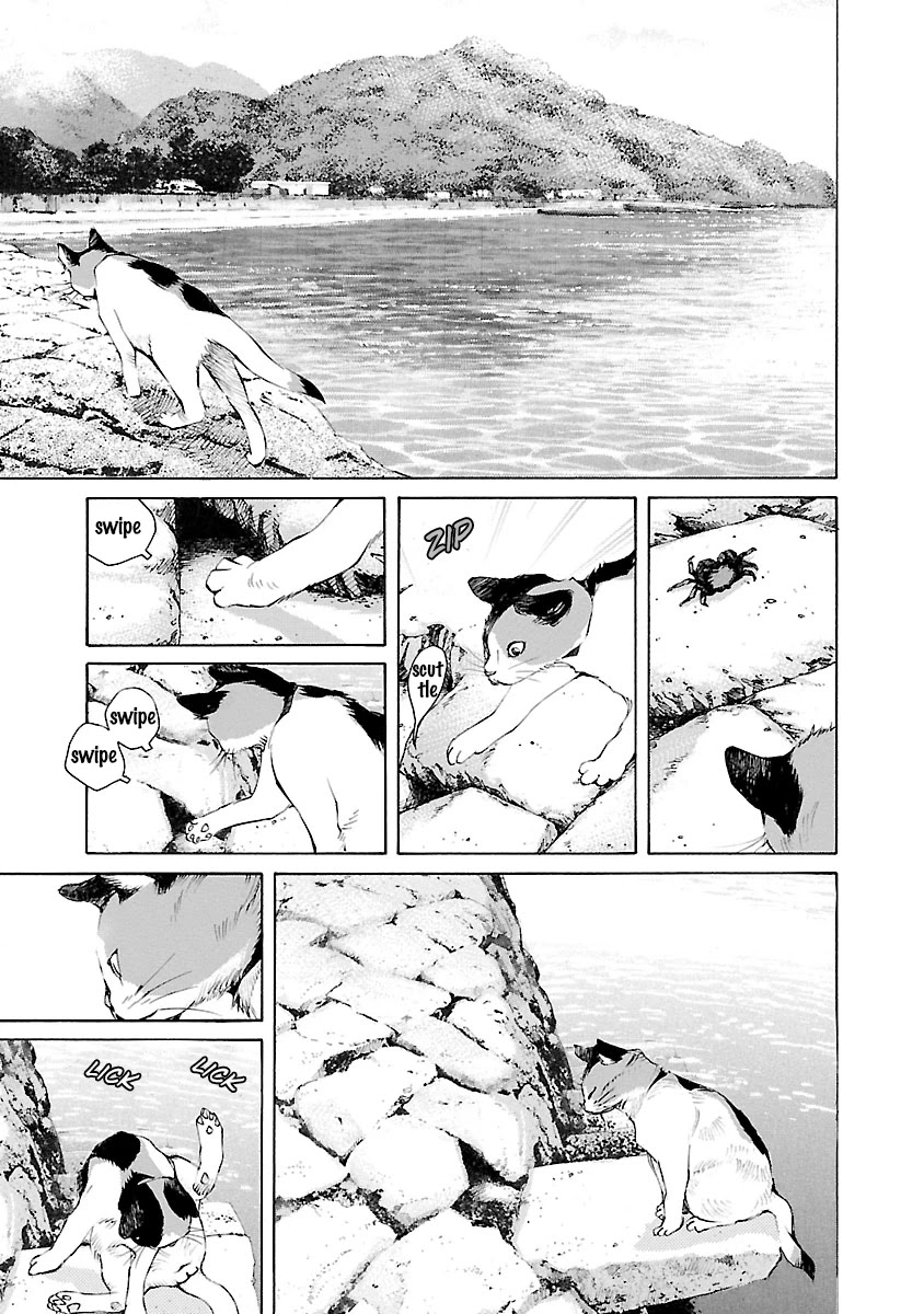 Ao no Shima to Neko Ippiki chapter 14.5 page 6