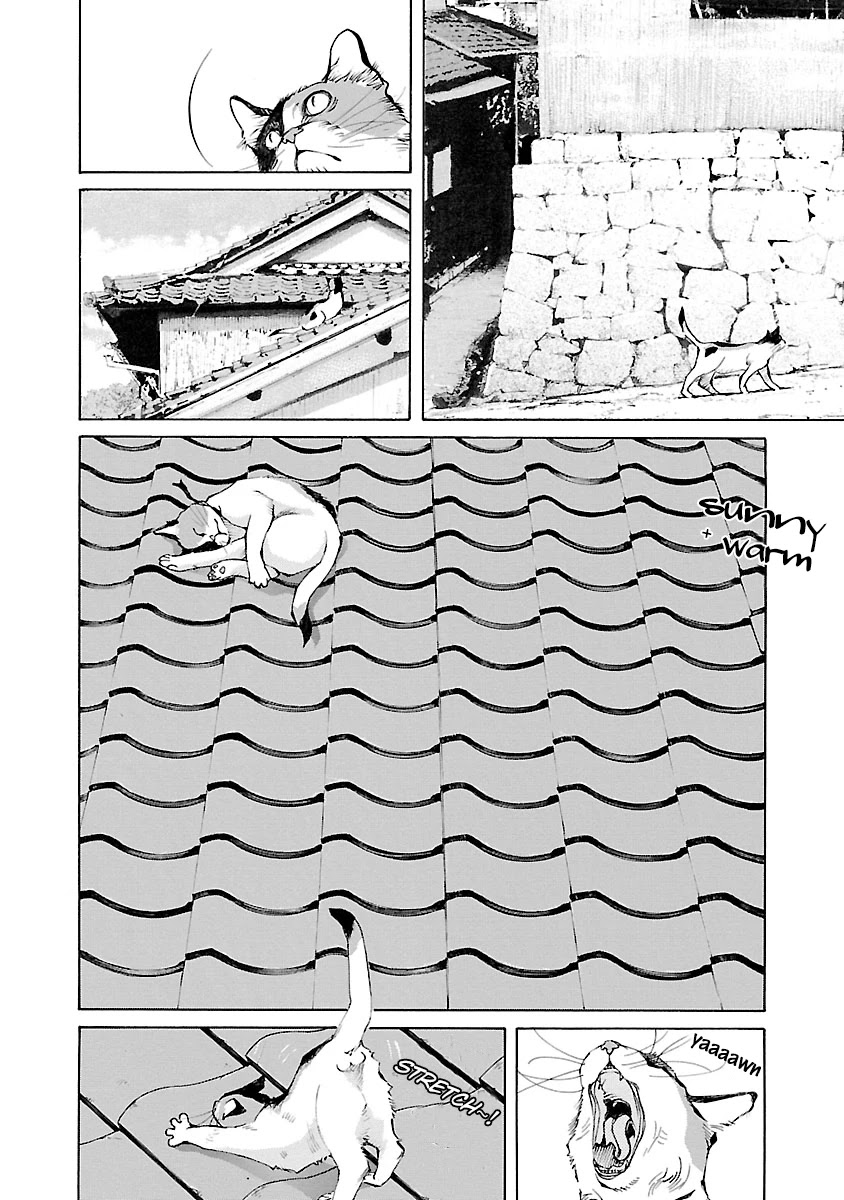 Ao no Shima to Neko Ippiki chapter 14.5 page 7
