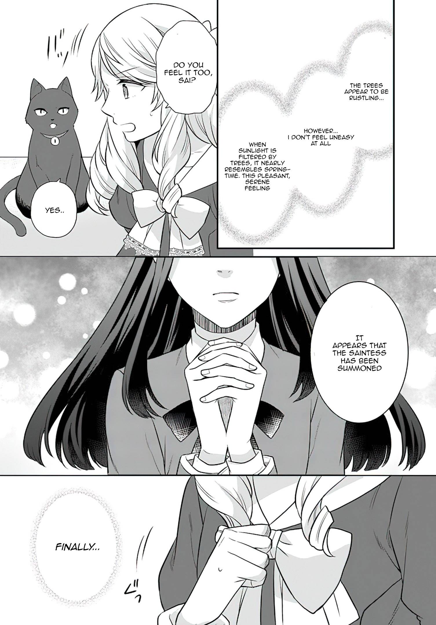 As A Result Of Breaking An Otome Game, The Villainess Young Lady Becomes A Cheat! chapter 26 page 9