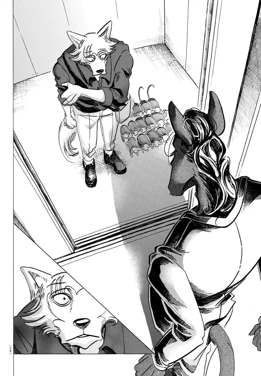 Beastars chapter 116 page 17