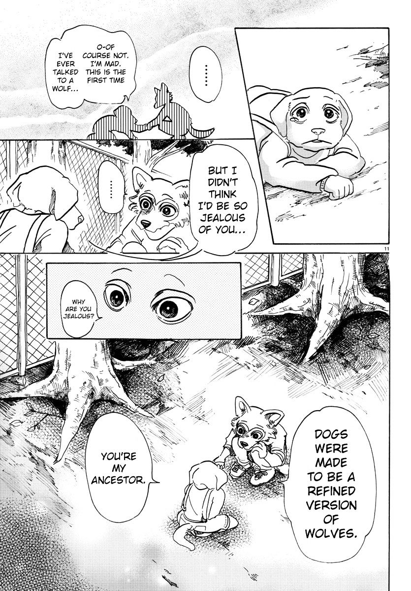 Beastars chapter 49 page 10