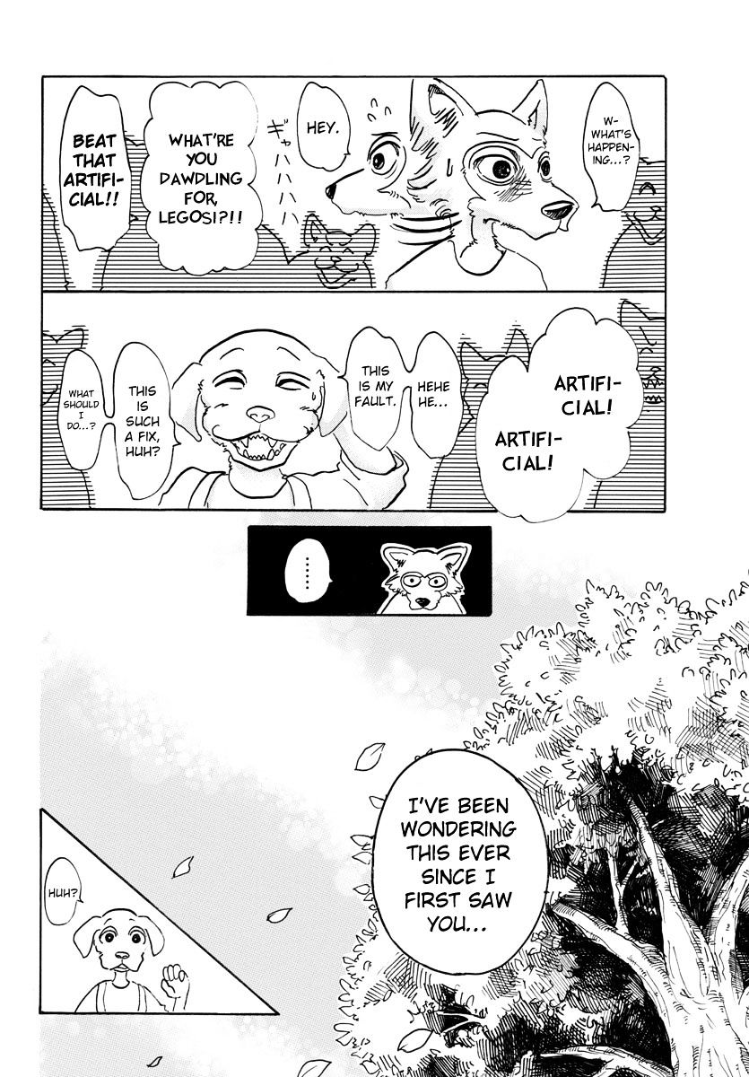 Beastars chapter 49 page 15