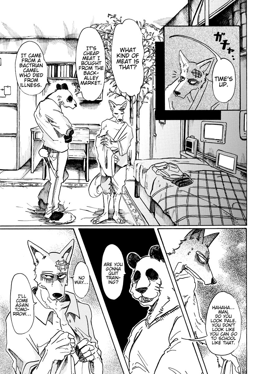 Beastars chapter 63 page 8