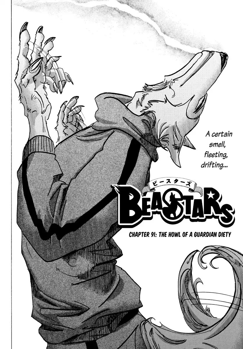 Beastars chapter 91 page 1