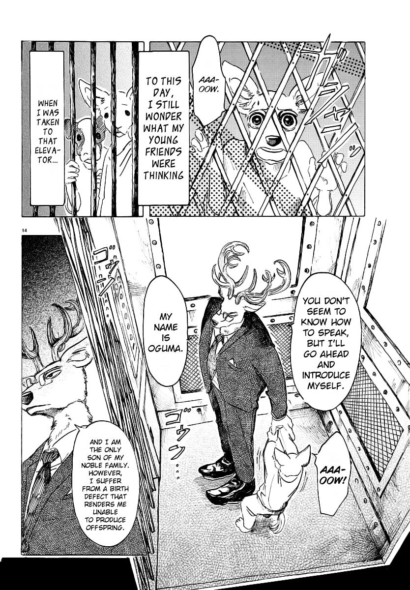 Beastars chapter 33 page 14