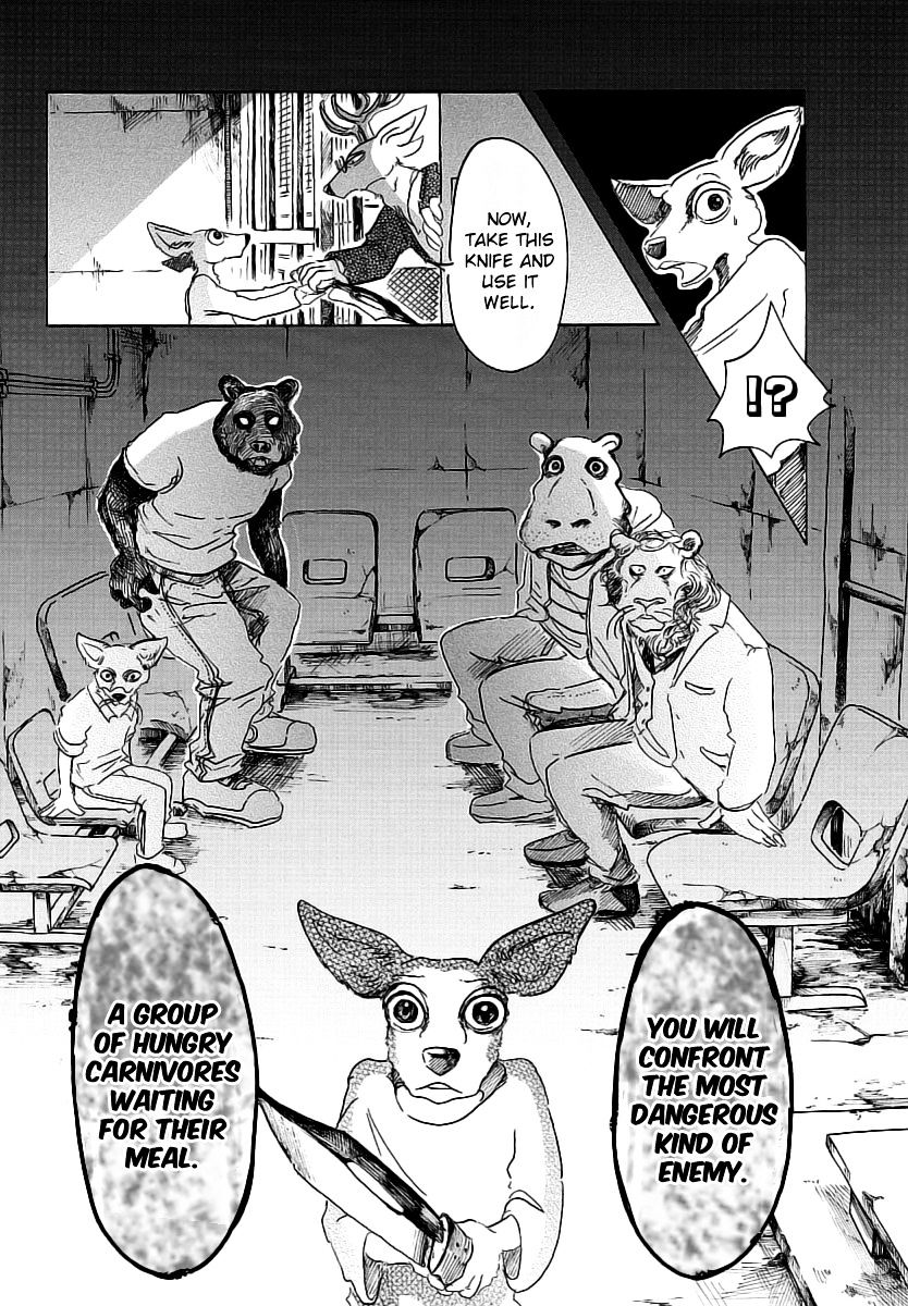 Beastars chapter 33 page 16