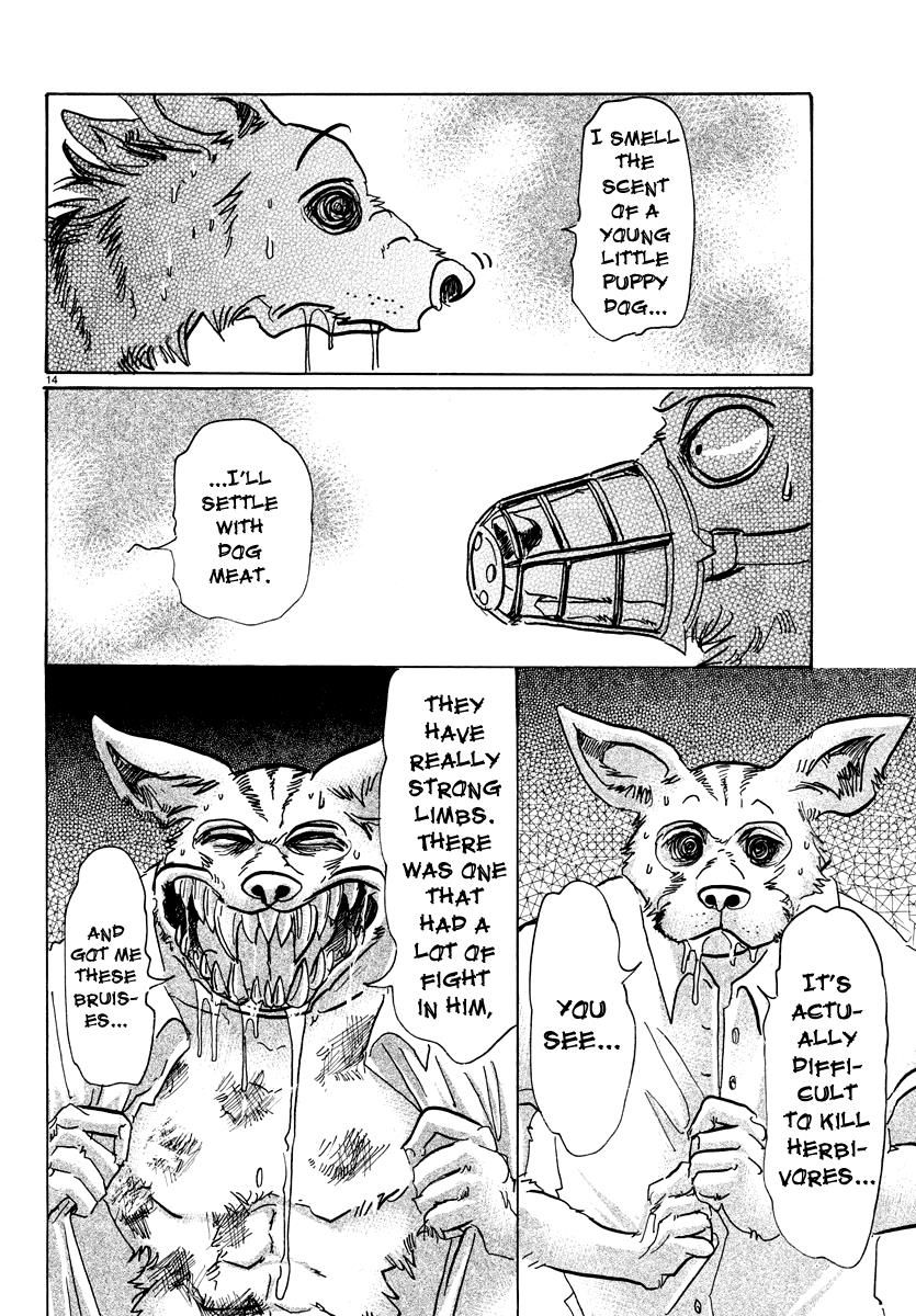 Beastars chapter 68 page 13