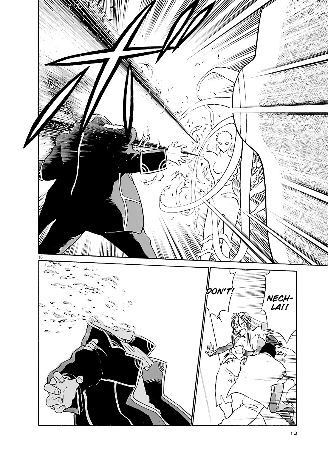 Birdy the Mighty Evolution chapter 99 page 19