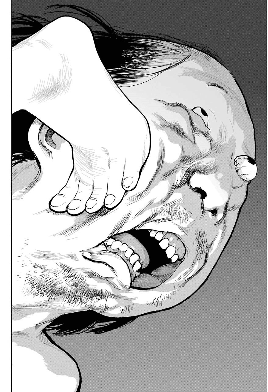 Blattodea chapter 0 page 37