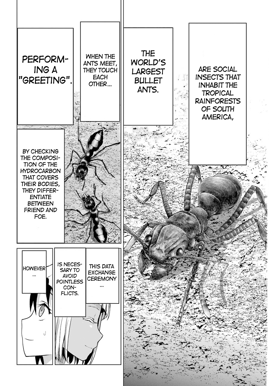 Blattodea chapter 1 page 42