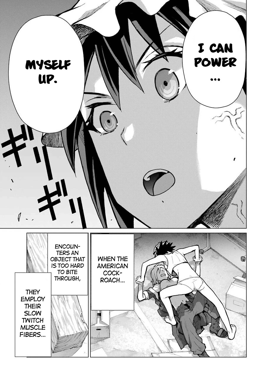 Blattodea chapter 10 page 28