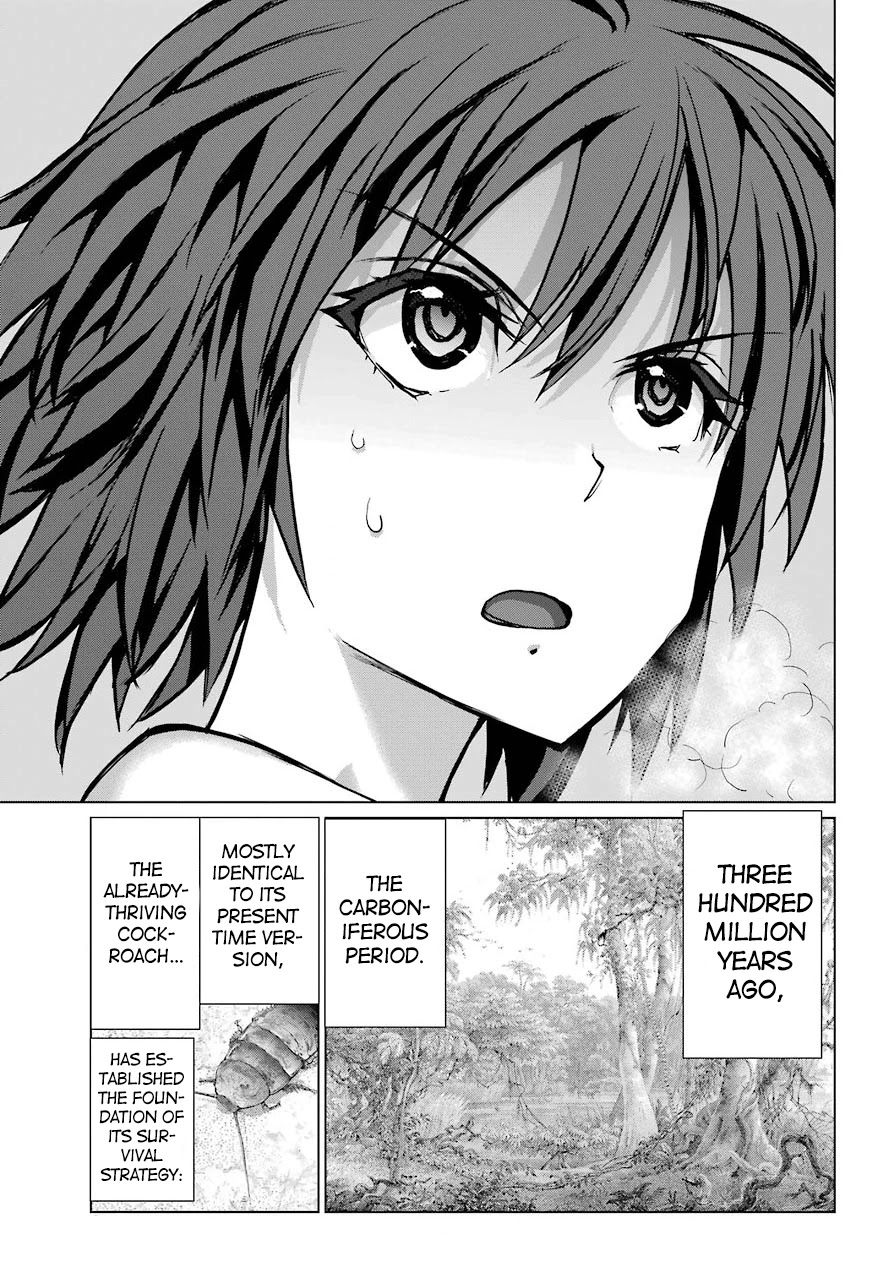 Blattodea chapter 11.2 page 4