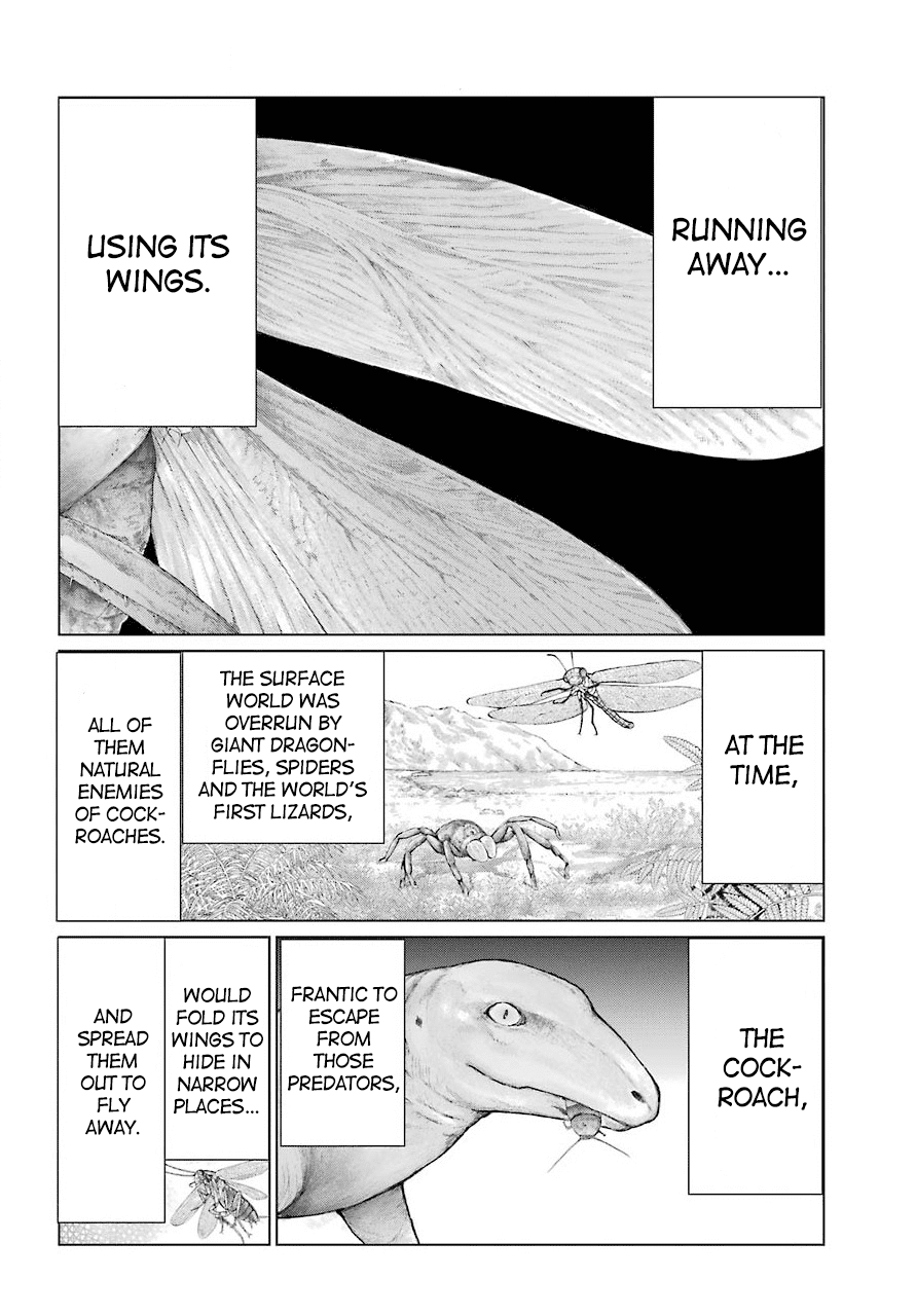 Blattodea chapter 11.2 page 5