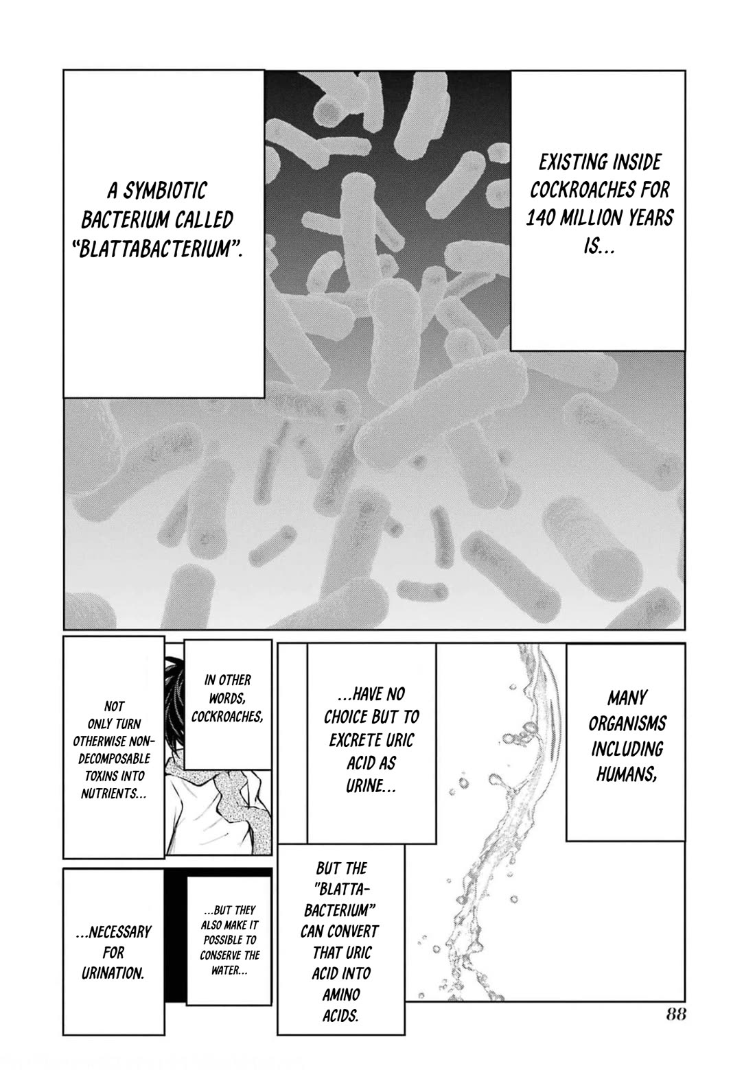 Blattodea chapter 16 page 20