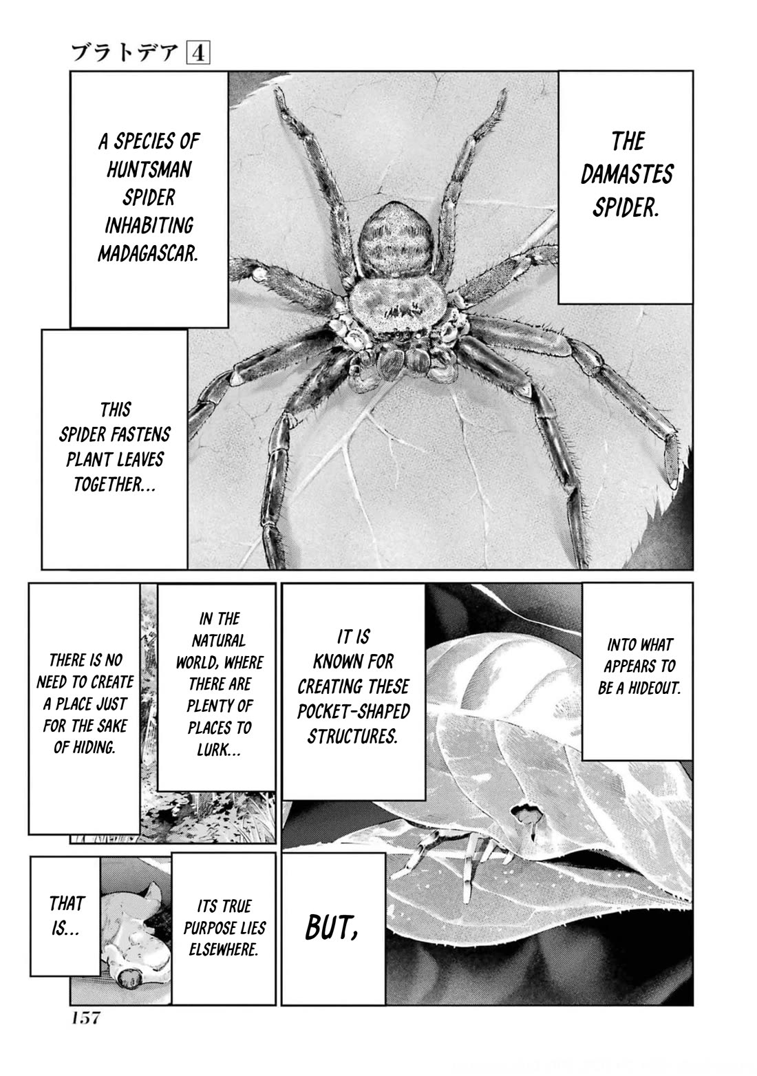 Blattodea chapter 18 page 16