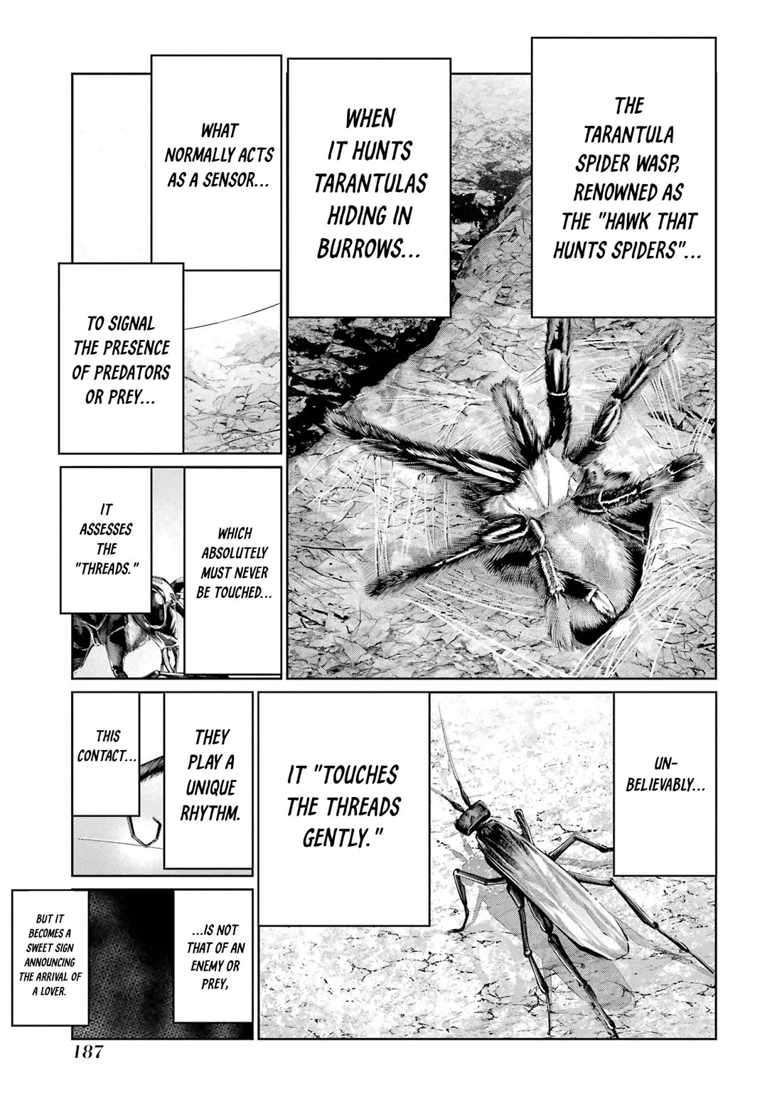 Blattodea chapter 19 page 17