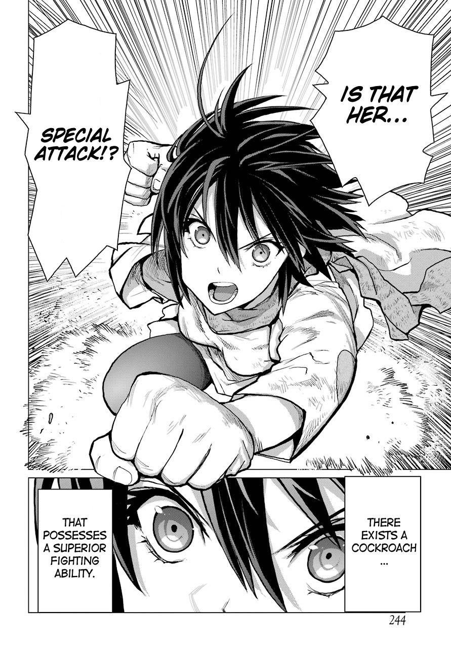 Blattodea chapter 2 page 14