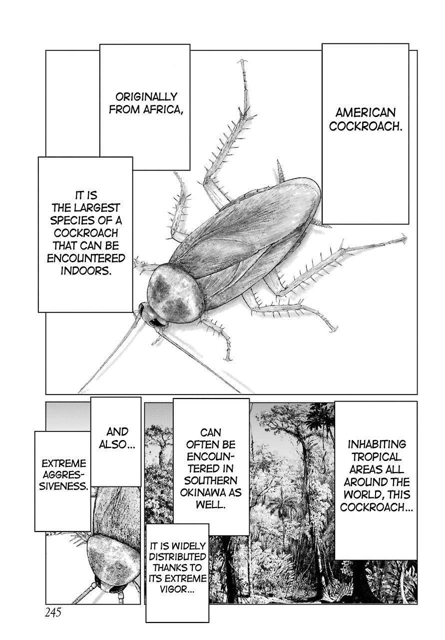 Blattodea chapter 2 page 15