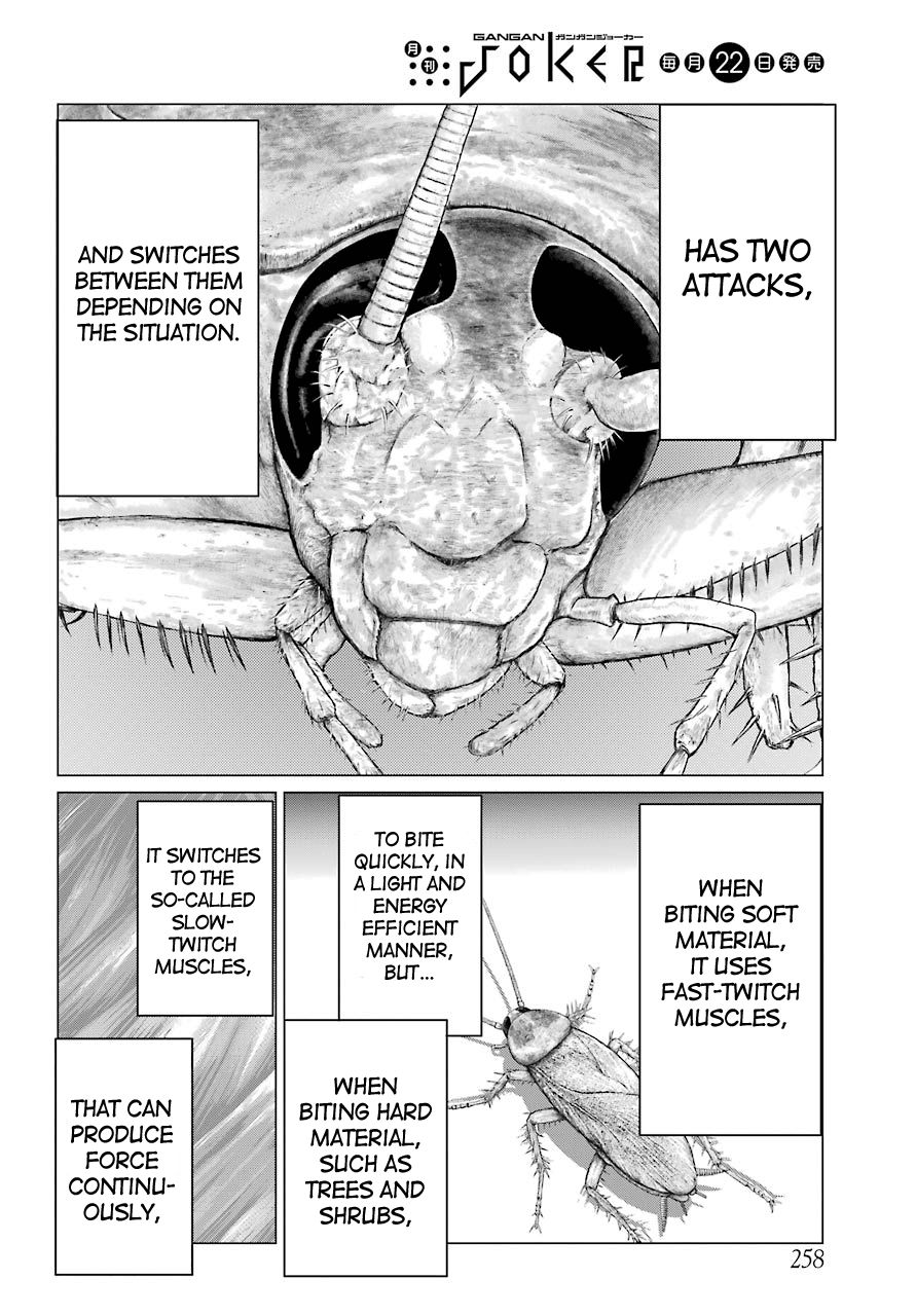 Blattodea chapter 2 page 27