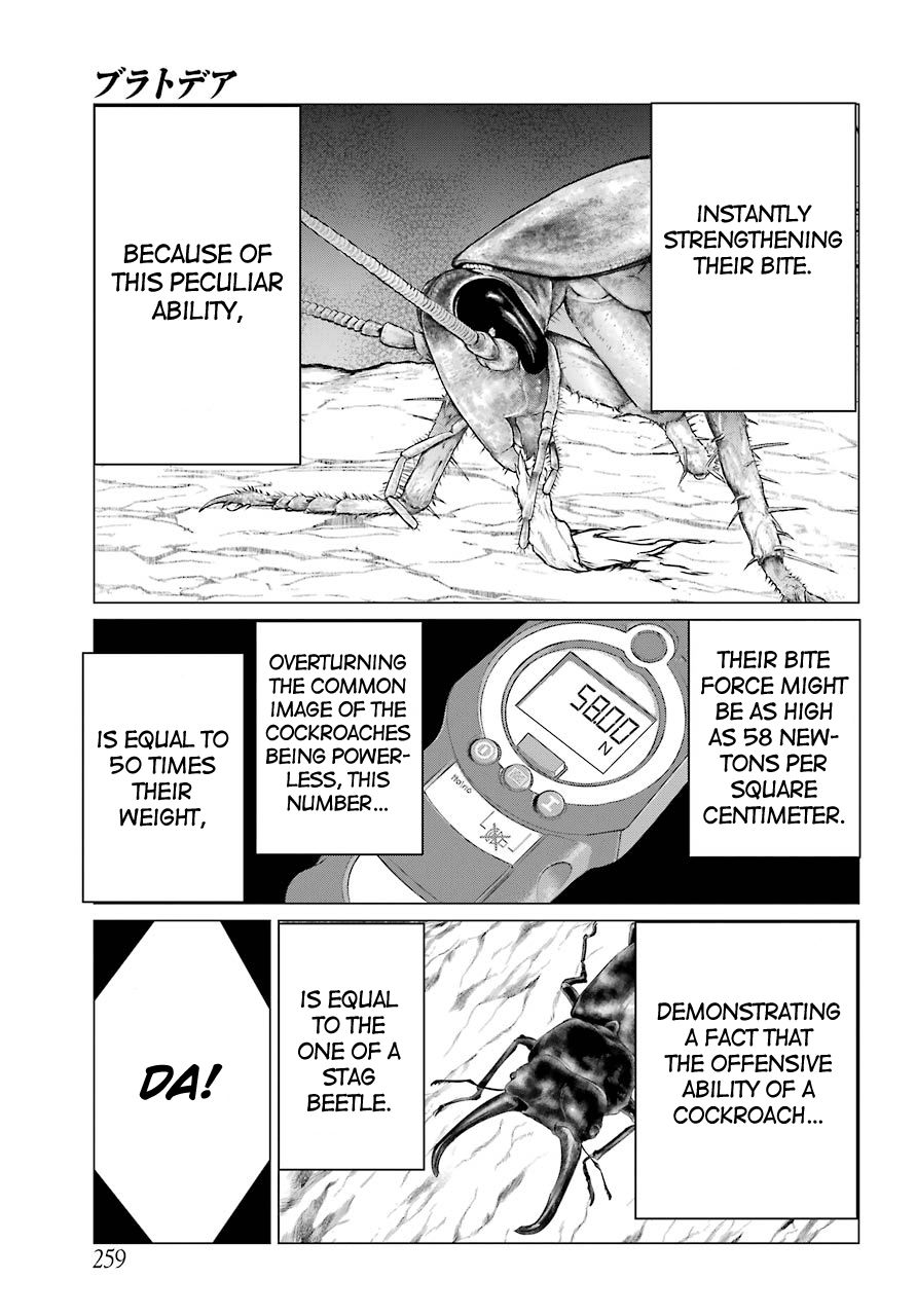Blattodea chapter 2 page 28