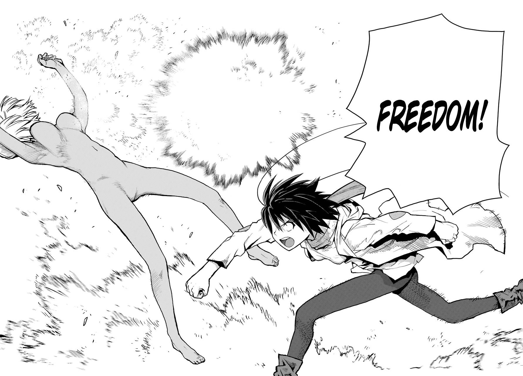 Blattodea chapter 2 page 33