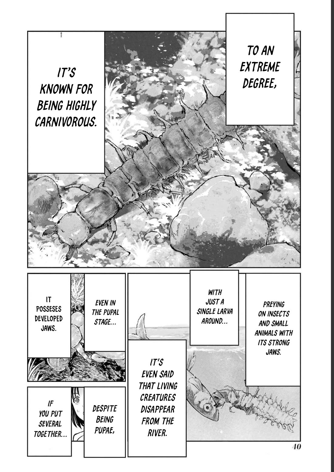 Blattodea chapter 21 page 8