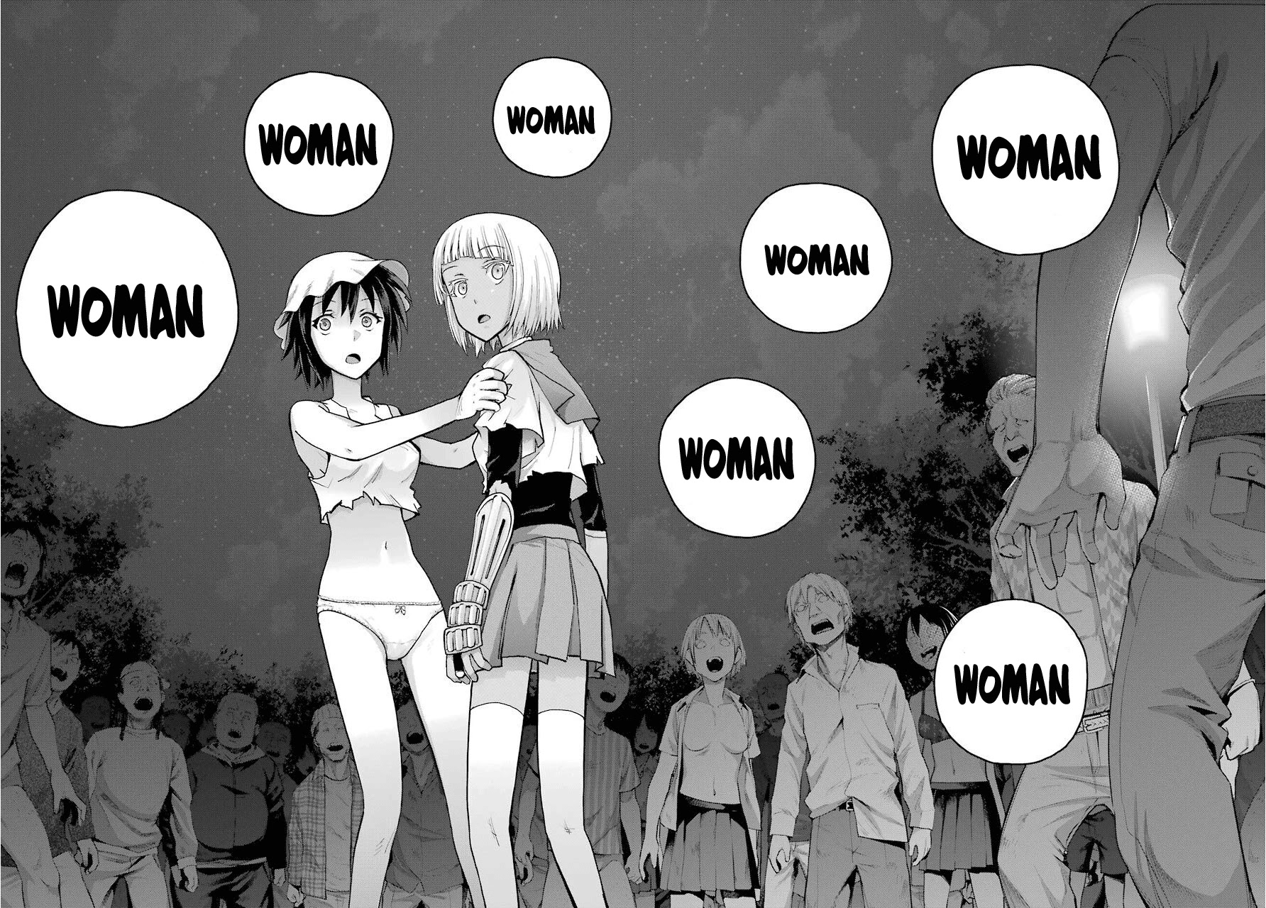 Blattodea chapter 4 page 35