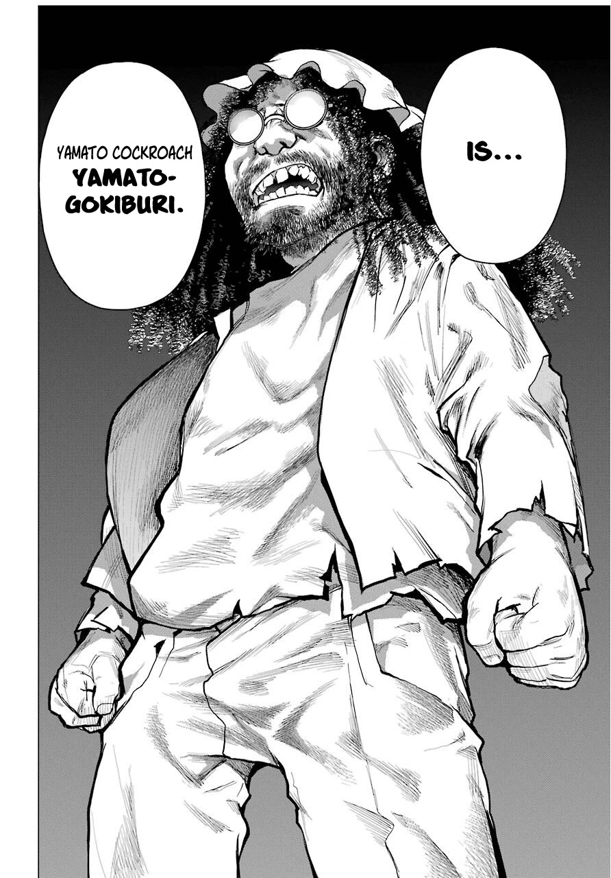 Blattodea chapter 6 page 19