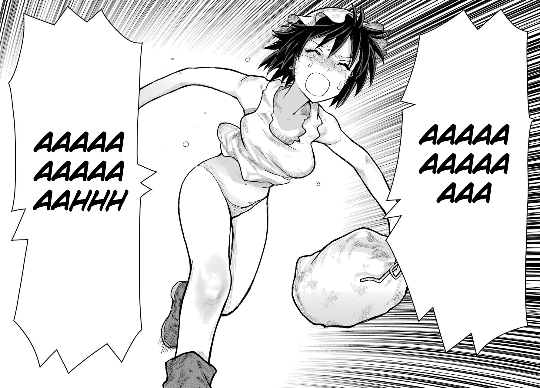 Blattodea chapter 7 page 40