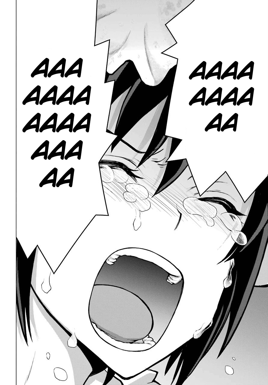 Blattodea chapter 7 page 41