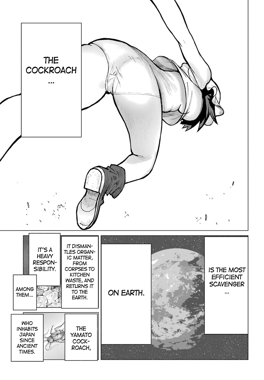 Blattodea chapter 7 page 42