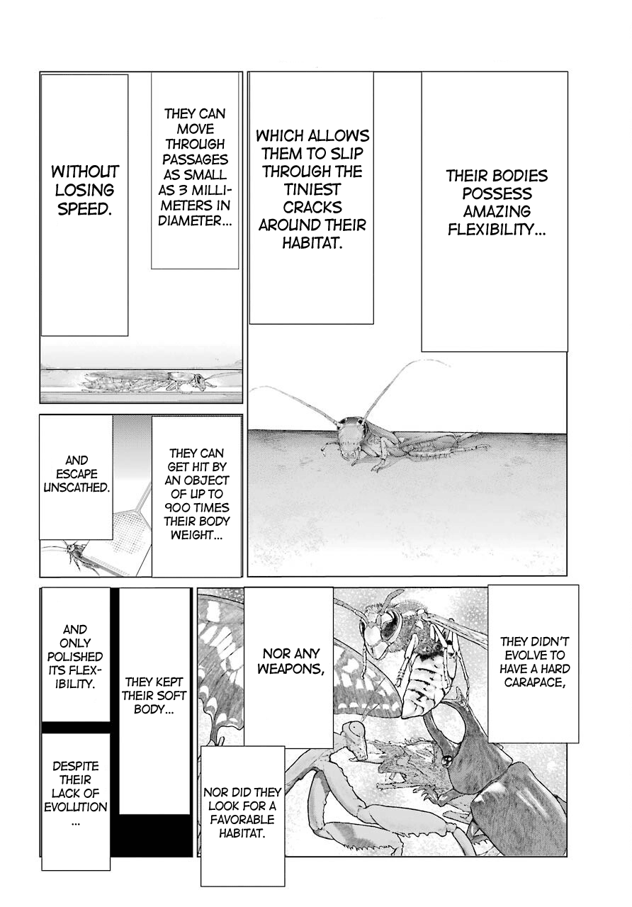 Blattodea chapter 9 page 17