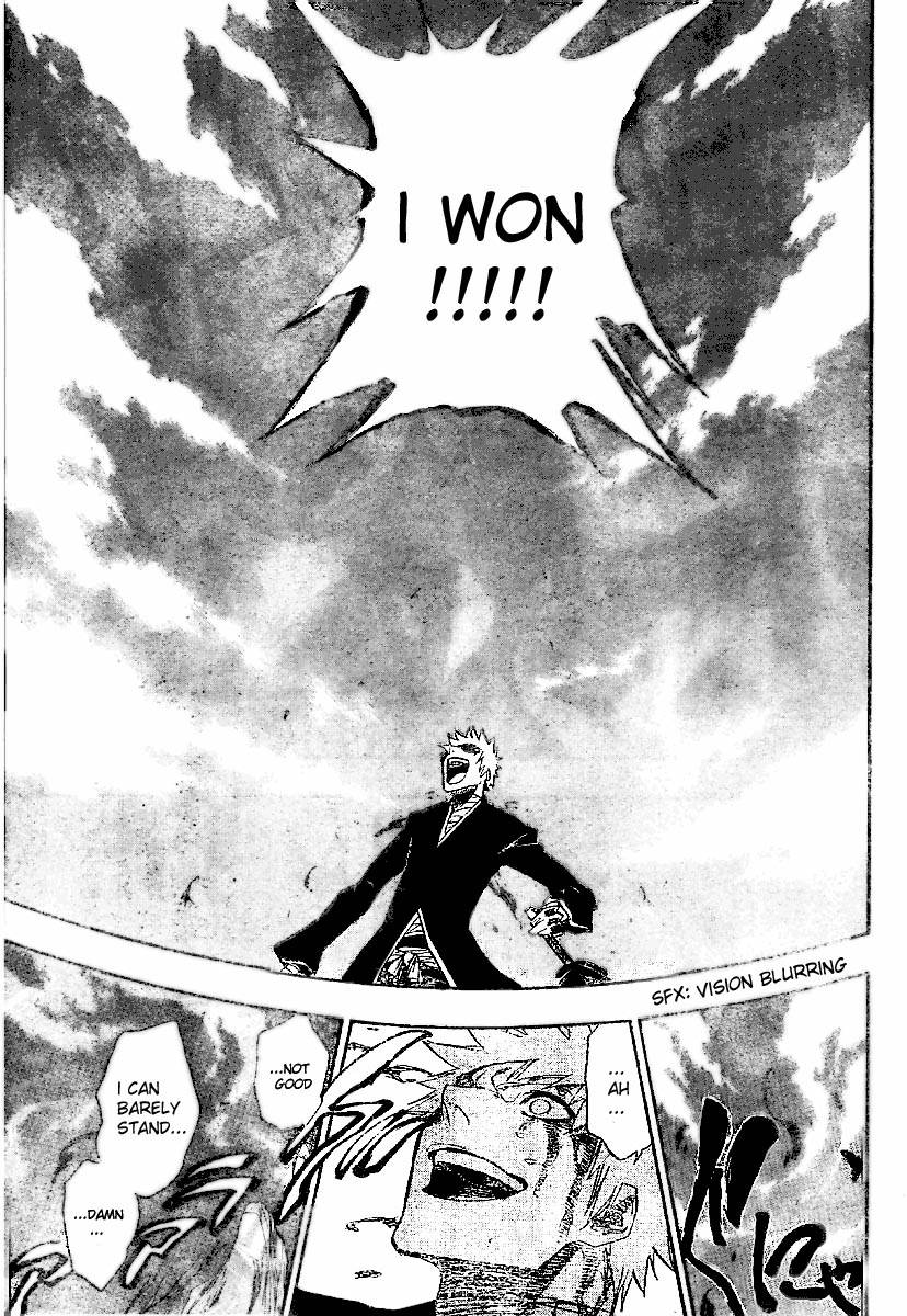 Bleach chapter 167 page 14