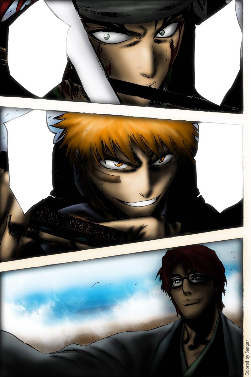 Bleach chapter 173 page 5