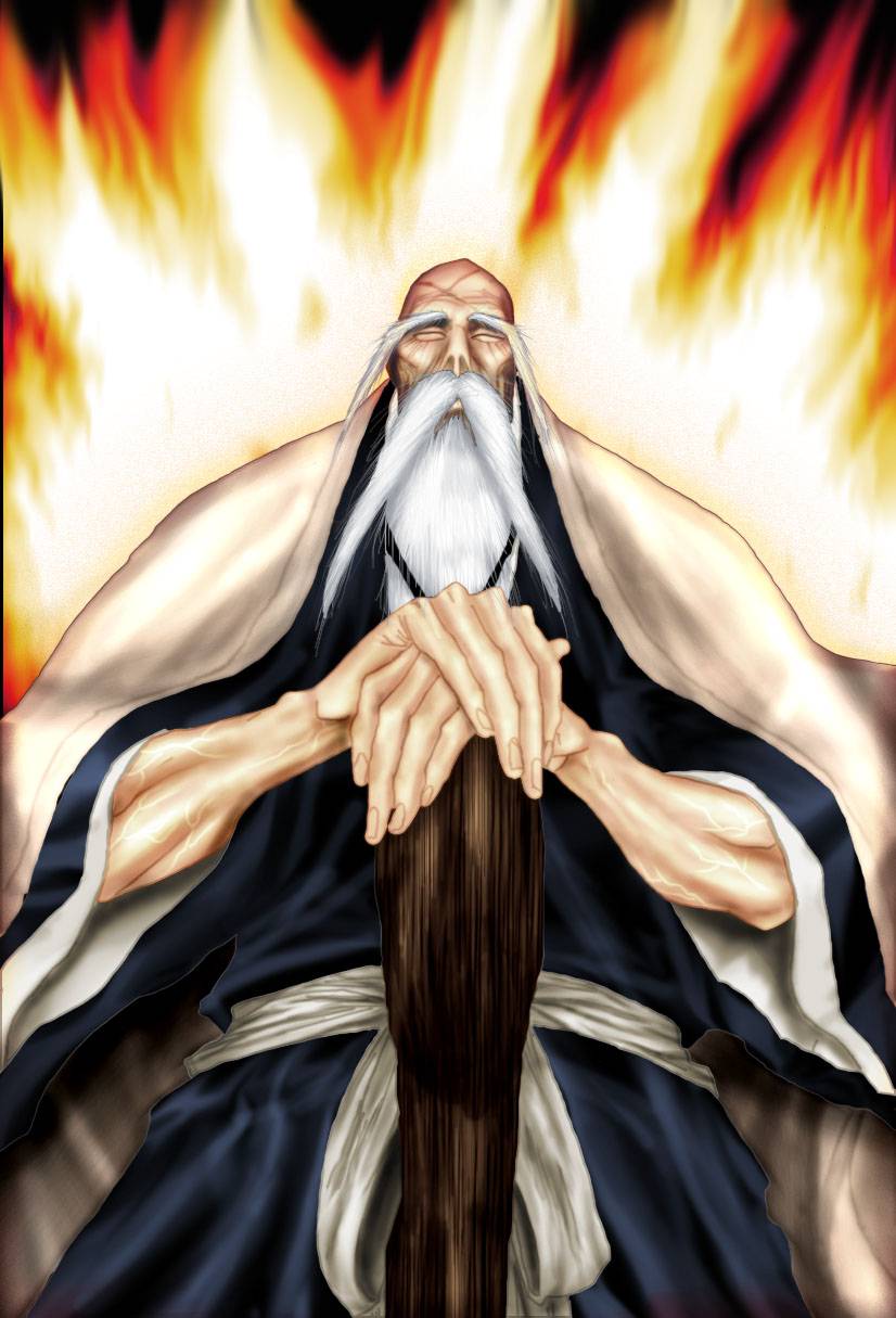 Bleach chapter 175 page 25