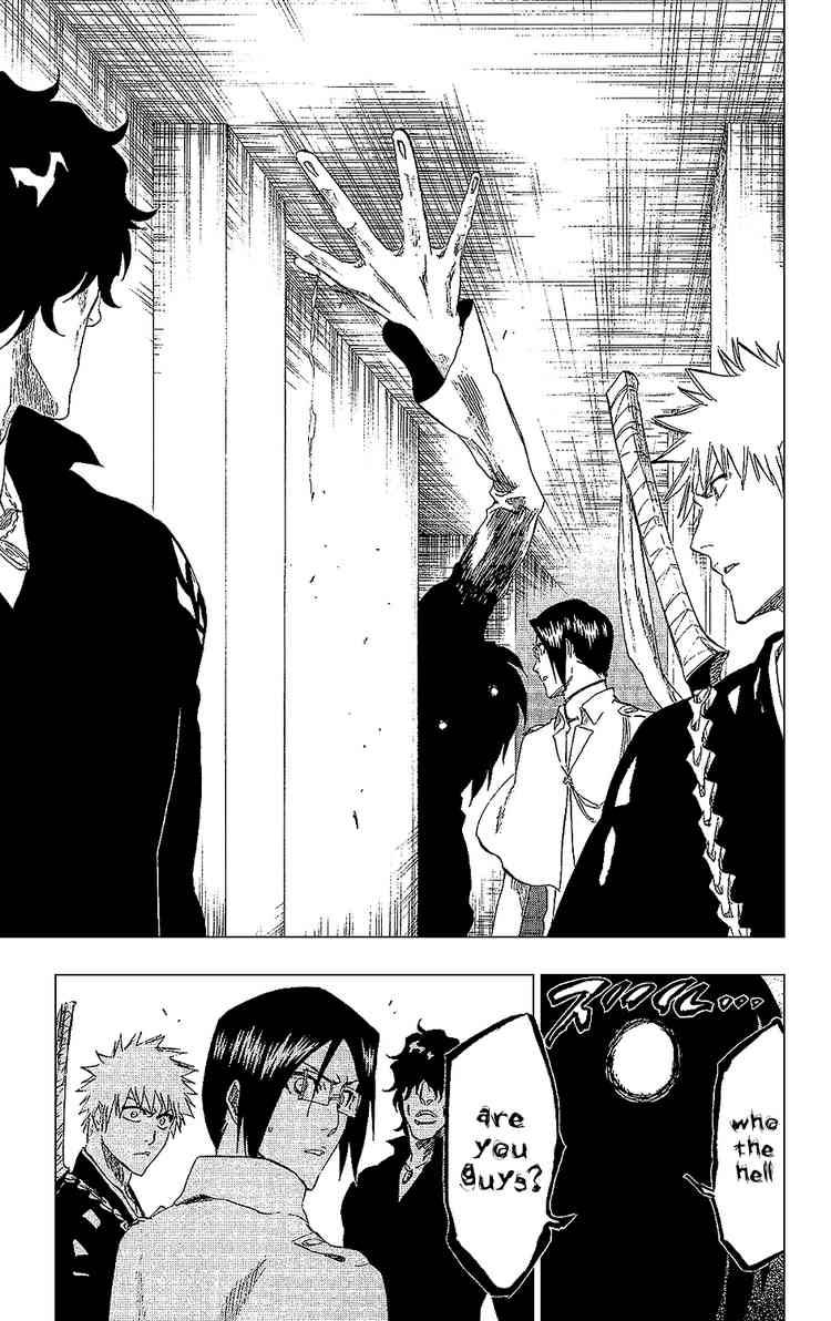 Bleach chapter 241 page 17