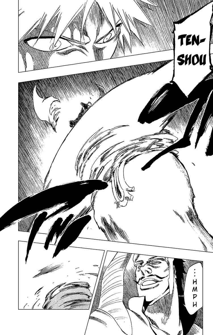 Bleach chapter 252 page 15