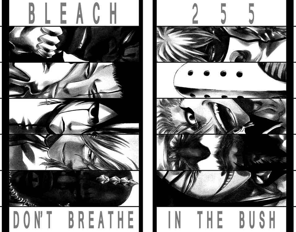 Bleach chapter 255 page 1