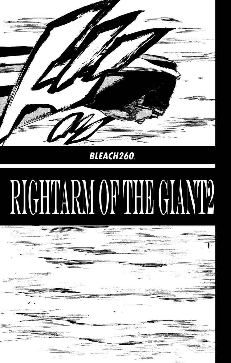 Bleach chapter 260 page 4